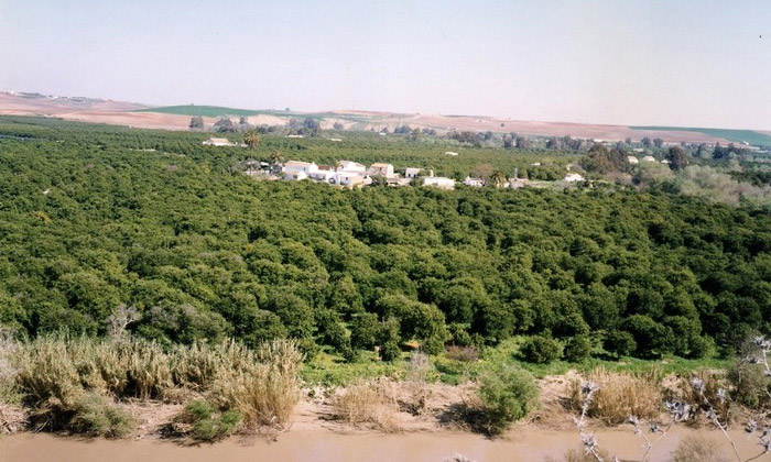 Pagos de Huerta