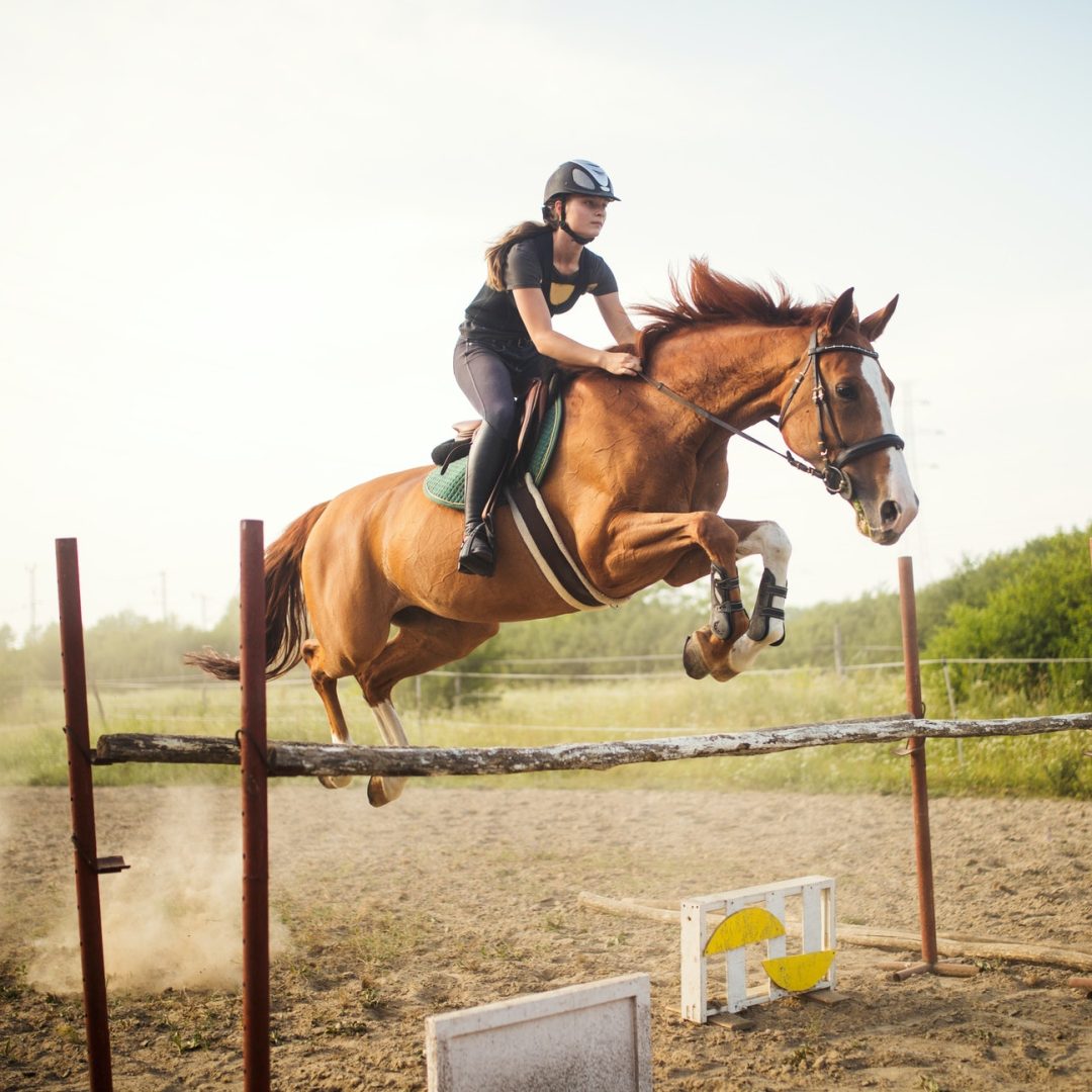 Young female jockey on horse leaping over hurdle